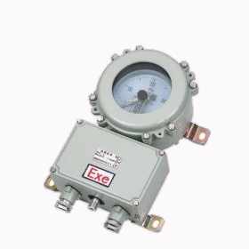 SEYB系列防爆仪表